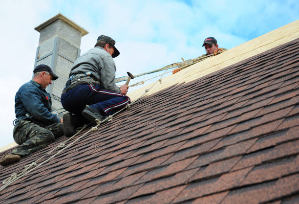 Best Storm Damage Roof Repair  in West Easton, PA