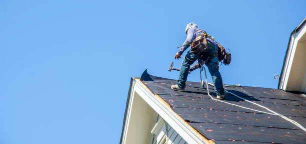 Best Roof Gutter Cleaning  in West Easton, PA
